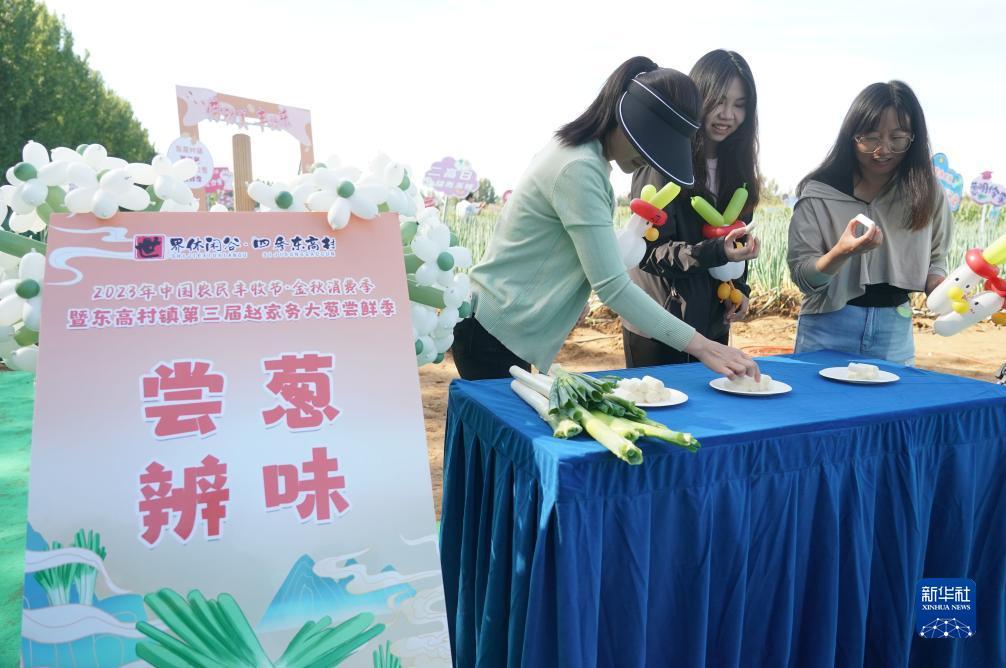 斗鱼黄金大奖赛官网积分